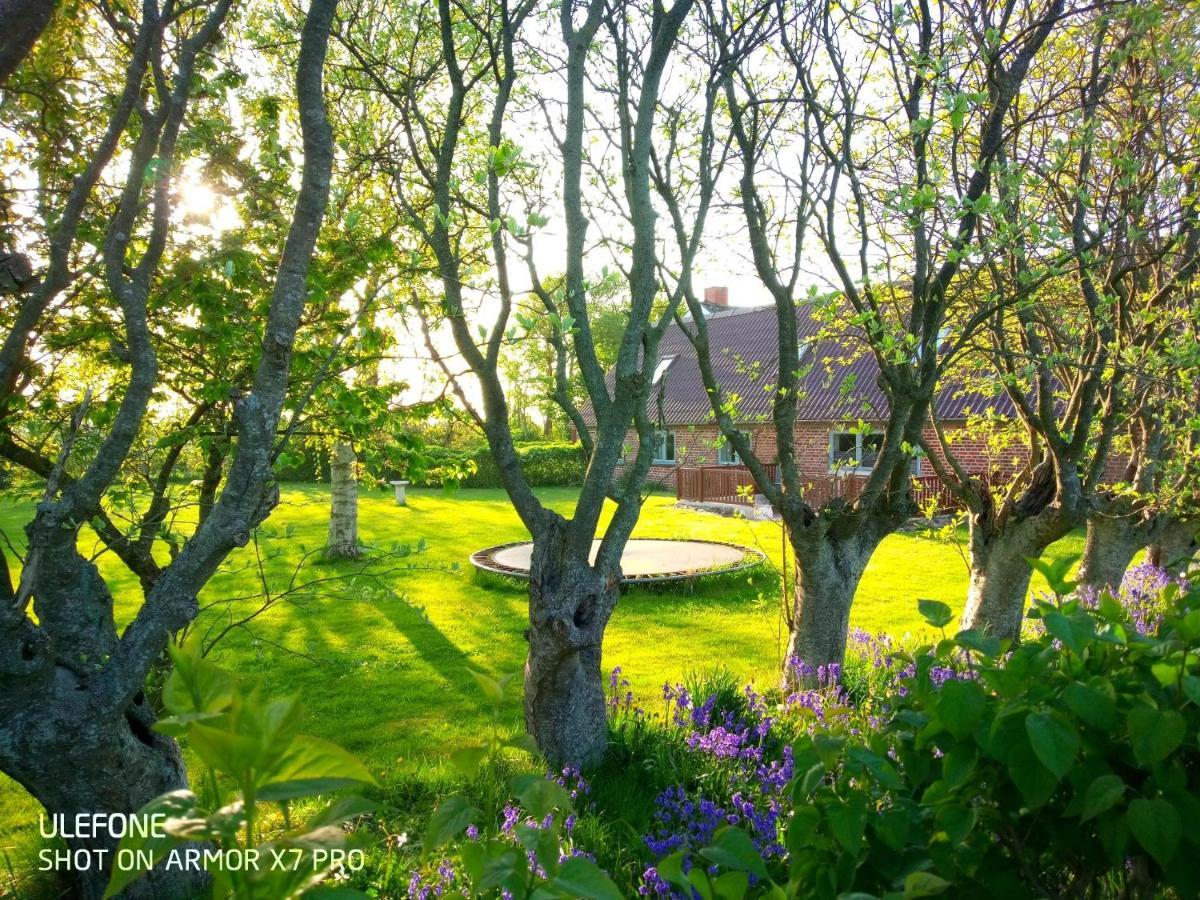 Lilleledgaard Country House Ringkobing Ngoại thất bức ảnh